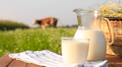 Çayırova Süt ve Süt Ürünleri